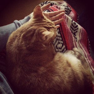 Meditation is the only time when bossy-pants Milo will ever calm down enough to sit in my lap which is an added perk. 